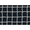 Сетка для хоккея профессиональная d=4,0