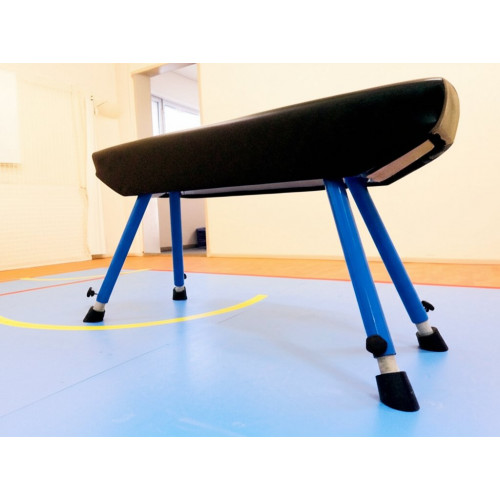 Гимнастический конь