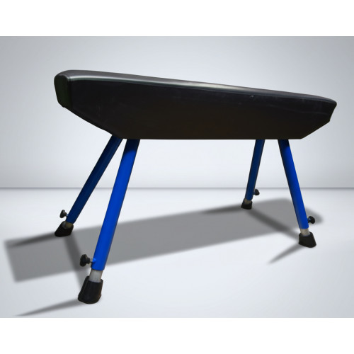 Гимнастический конь