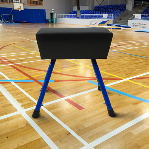 Козел гимнастический