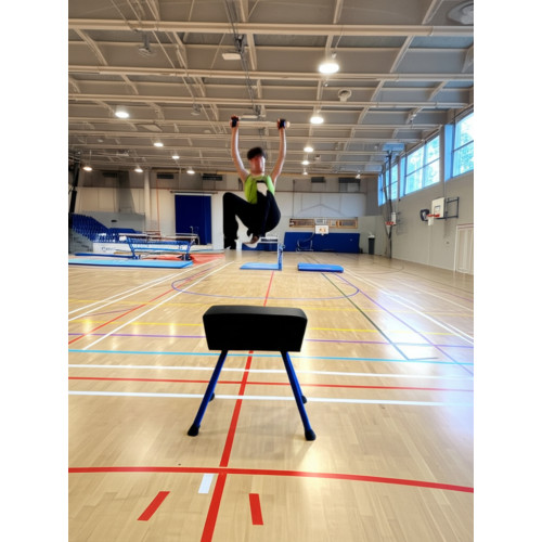 Козел гимнастический