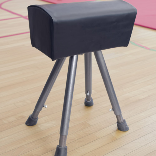 Козел гимнастический