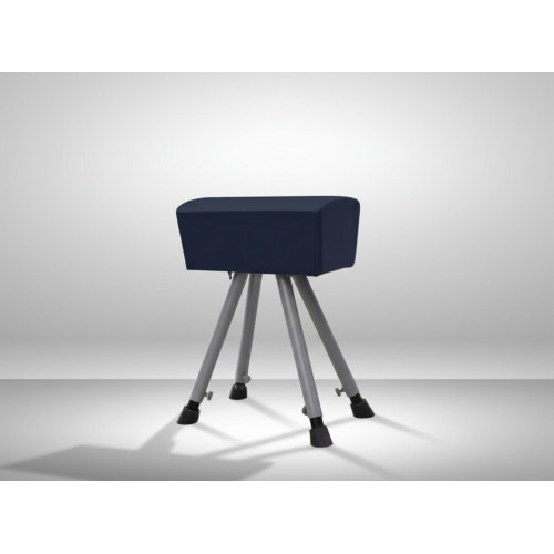 Козел гимнастический