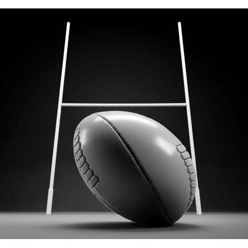 Регбийные ворота