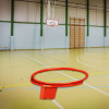 Кольцо баскетбольное амортизационное