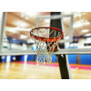 Баскетбольная сетка профессиональная 6 мм