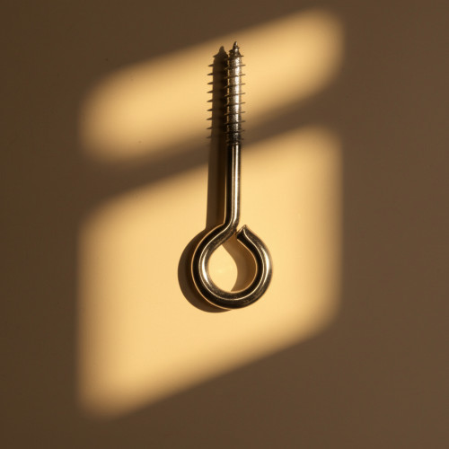 Шуруп кольцо 6х60 мм для крепления сетки