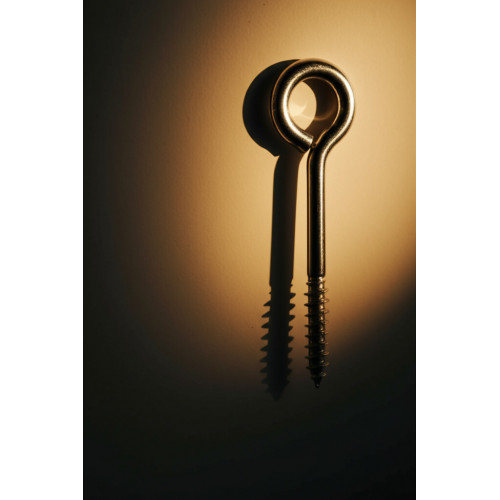 Шуруп кольцо 6х60 мм для крепления сетки