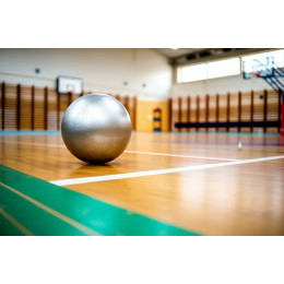 Ядро для толкания мужское 7,26 кг