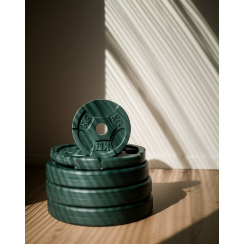 Диск для штанги Рекорд 1,25 кг, D51 мм