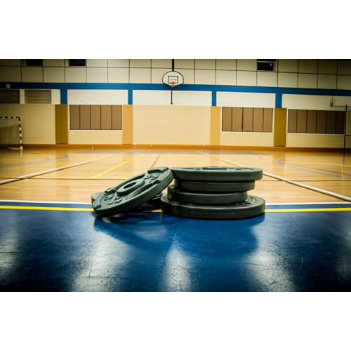 Комплект штанга и гантели 65 кг, чугунный