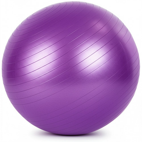 Мяч гимнастический 65 см