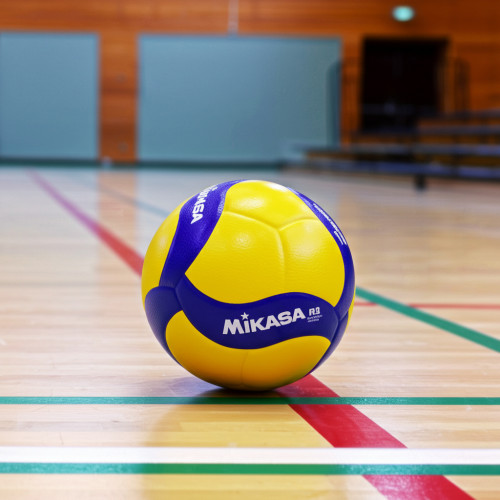 Мяч волейбольный Mikasa V200W