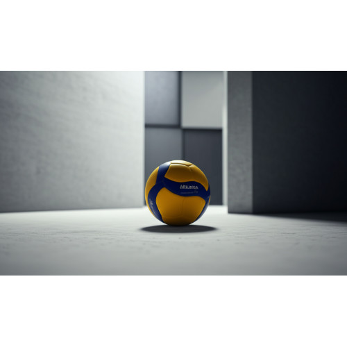 Мяч волейбольный Mikasa V200W