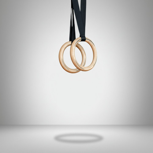 Кольца гимнастические деревянные с тросом (длина подвеса 3 м)