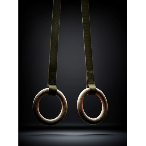 Кольца гимнастические деревянные с тросом (длина подвеса 3 м)