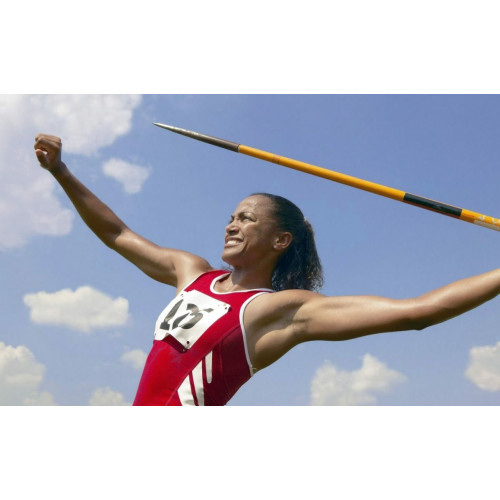 Сектор метания с защитным экраном